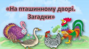 Презентація для дошкільнят. Заняття "На пташиному дворі. Загадки" Свійські птахи