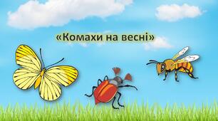 Презентація для дошкільнят. Заняття "Комахи навесні". Комахи
