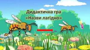 Презентація для дошкільнят. Дидактична гра "Назви лагідно". Комахи
