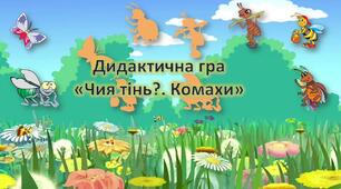 Презентація для дошкільнят. Дидактична гра "Чия тінь?". Комахи