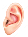 0601rkjy-390f-99x129.png