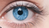 0601rkkc-80e7-169x95.png