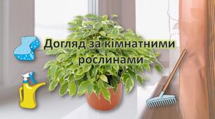 Презентація для дошкільнят. Заняття "Догляд за кімнатними рослинами". Кімнатні рослини