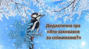 Презентація для дошкільнят. Дидактична гра "Хто заховався за сніжинкою?". Зимуючі птахи