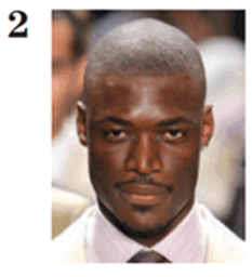 0601rowg-d869-233x256.png