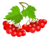 0601rpem-eec0-96x76.png