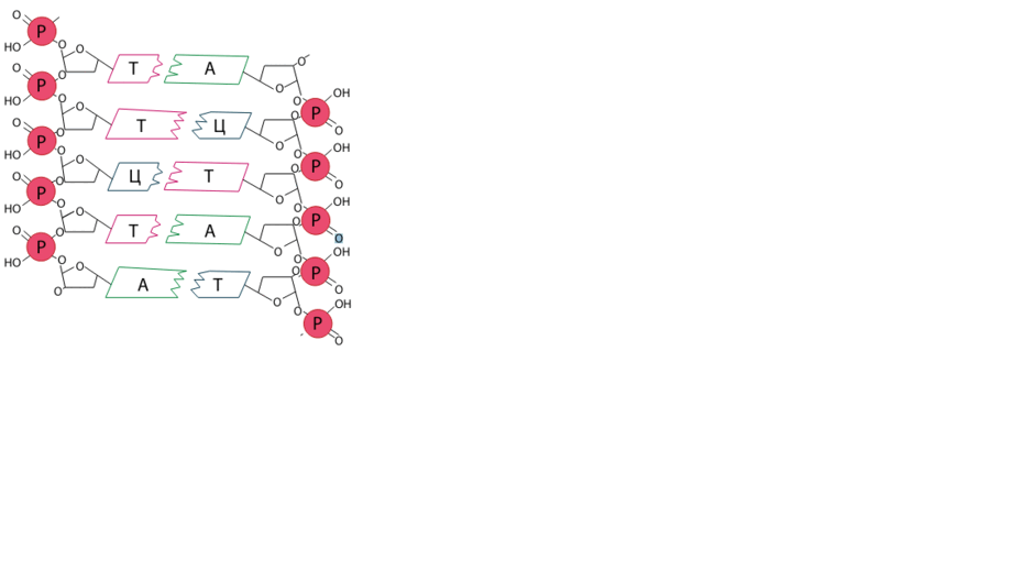 0601rq8d-29bd-940x529.png