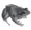 0601rxia-3368-108x105.png
