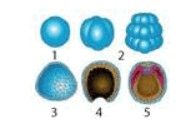 0601s2tr-9c21-196x125.png