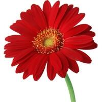 0601s3i3-1133-200x200.jpg