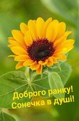 0601s3td-5eb5-161x247.jpg