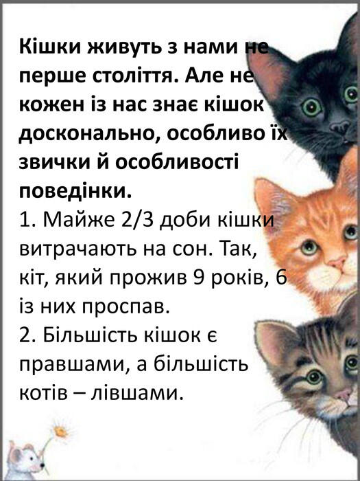 ПРЕЗЕНТАЦІЯ "ЦІКАВІ ФАКТИ ПРО КОТІВ"