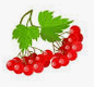 0601s5b2-d7b8-86x80.png