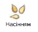 0601s61h-4f6f-125x104.png