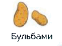0601s622-1577-128x96.png