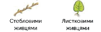 0601s62u-007b-350x111.png