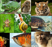 0601s8p3-8b63-215x194.png