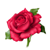 0601sf6l-77a2-173x173.png