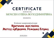 КРИТИЧНЕ МИСЛЕННЯ. МЕТОД КУБУВАННЯ. РОМАШКА БЛУМА.