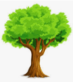 0601sq6y-c1ce-145x162.png