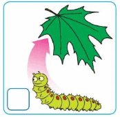 0601sqcl-56da-174x171.png