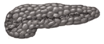 0601squd-f95b-210x90.png