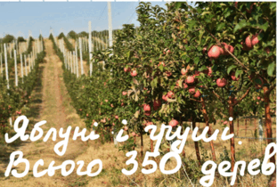 0601srph-be51-537x362.png