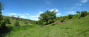 0601ssw4-ddad-300x126.jpg