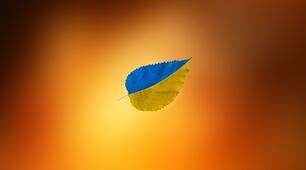 Хто краще знає рідну мову? (інтелектуально-розважальна гра)