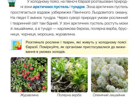 0601t3k9-ba89-447x332.png