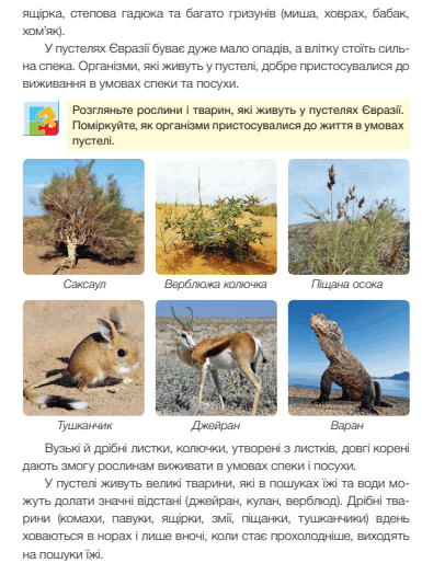 0601t3kp-7655-385x514.png