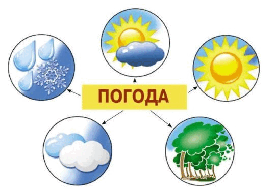 0601t696-0973-539x374.png