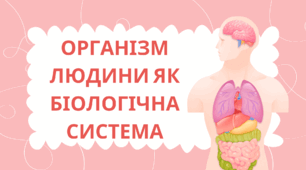 Презентація на тему: "Організм людини, як біологічна система"