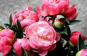0601t9mv-1b63-279x181.jpg