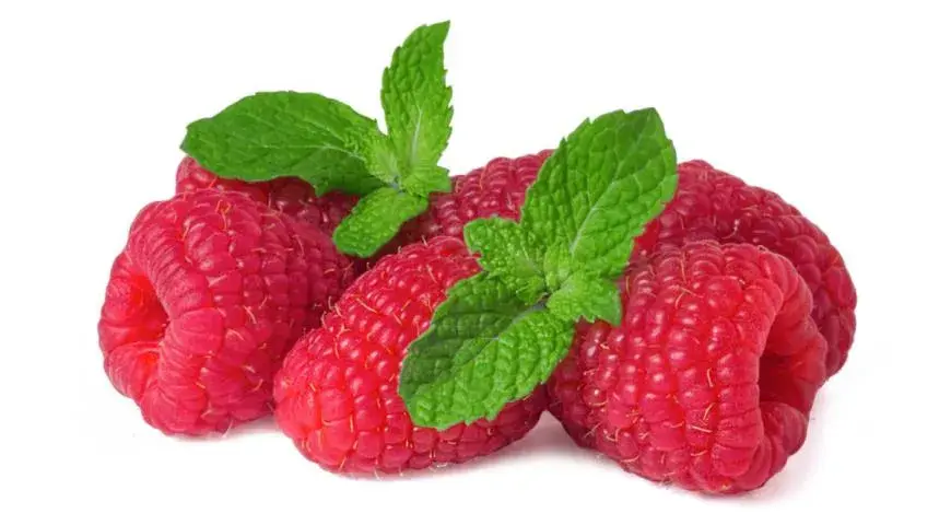 0601tc30-1e6d-870x480.webp