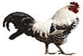 0601tckn-50ea-119x80.png