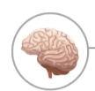 0601tcsa-e5d2-108x103.png