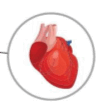 0601tcsq-5f85-108x103.png