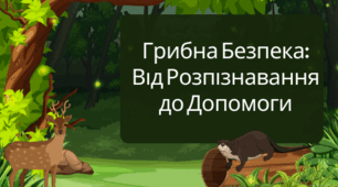 Презентація " Грибна безпека"
