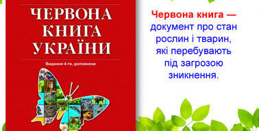 0601tdwj-2e43-378x191.jpg
