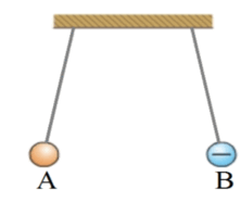 0601tj8r-b209-222x186.png