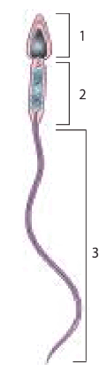 0601u5o7-f0a8-121x419.png