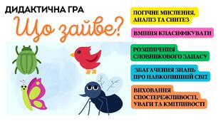 Дидактична гра "Що зайве?" (д.г. для дітей дошкільного віку, розвиток логічного мислення)