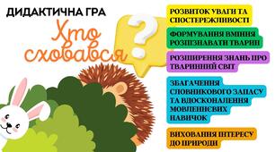 Дидактична гра "Хто сховався?" (д.г. для дітей увага, мислення)