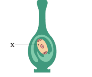 0601umgk-3776-305x255.png