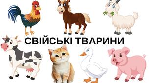Упізнай свійську тваринку!