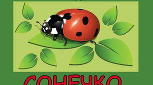 Світ природи. Комахи. Сонечко.