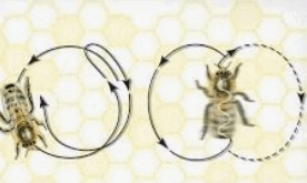 0601usq5-a1f7-276x165.png