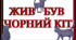 Тематичний комплект "Жив - був чорний кіт..."