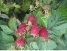http://mi100.info/wp-content/uploads/2019/07/7-8-573x430.jpg